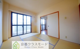 和6