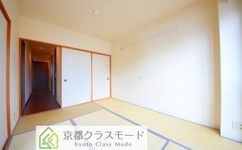 和6