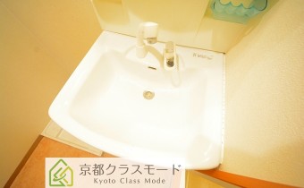シャンプードレッサー