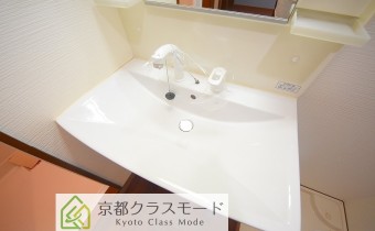 シャンプードレッサー