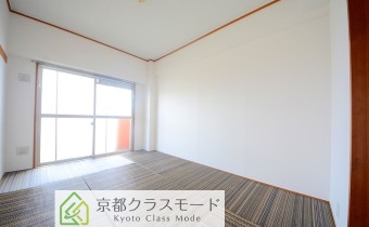 和6