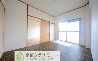 和6