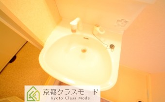 シャンプードレッサー