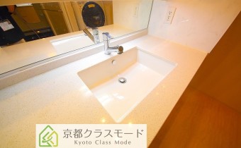 シャンプードレッサー