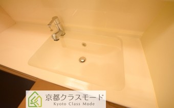 シャンプードレッサー