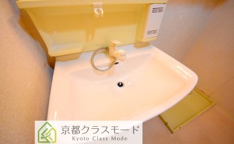 シャンプードレッサー