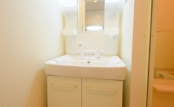 シャンプードレッサー※同マンション別タイプの写真です