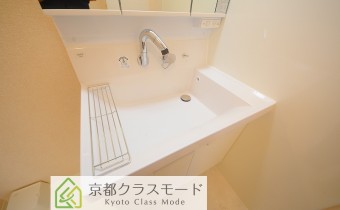 シャンプードレッサー