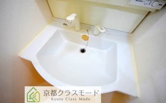 シャンプードレッサー