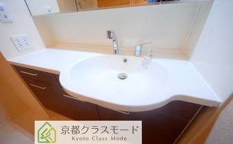 シャンプードレッサー