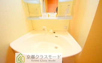 シャンプードレッサー