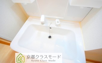 シャンプードレッサー