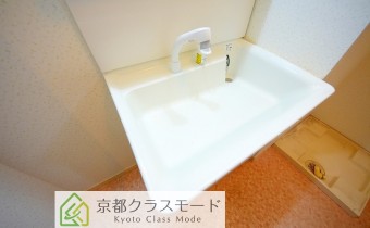 シャンプードレッサー