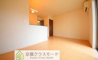 LDK10.1