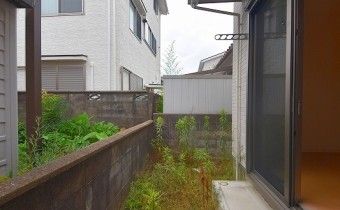 庭