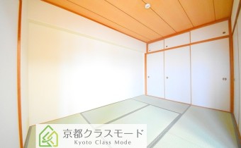 和6