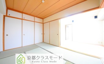 和6