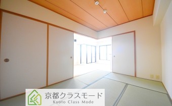 和6
