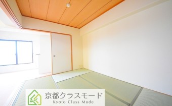 和6