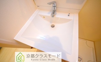 シャンプードレッサー