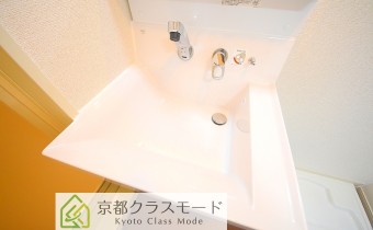 シャンプードレッサー