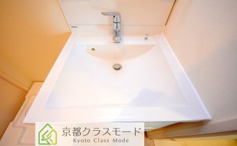 シャンプードレッサー　