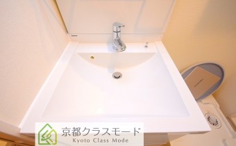 シャンプードレッサー　
