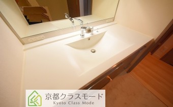 シャンプードレッサー