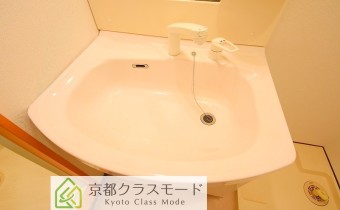 シャンプードレッサー