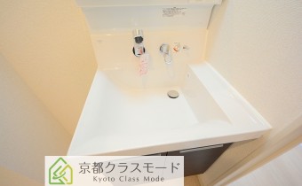 シャンプードレッサー