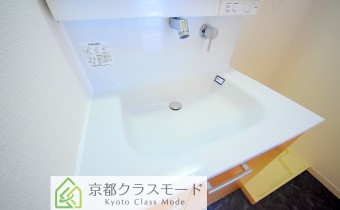シャンプードレッサー