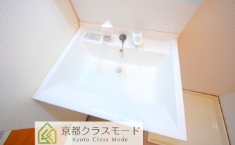 シャンプードレッサー