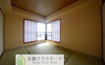 和6