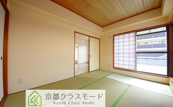 和6