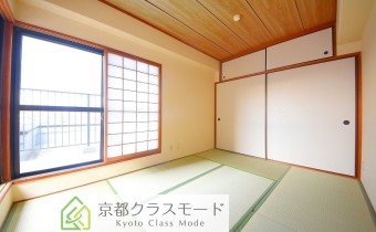 和6
