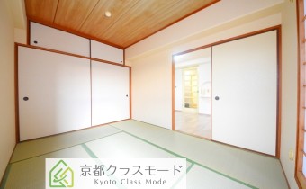 和6