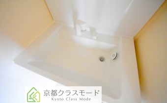 シャンプードレッサー