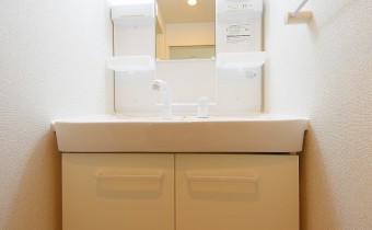 シャンプードレッサー