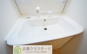 シャンプードレッサー