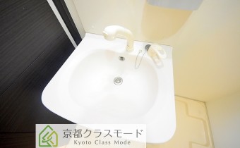 シャンプードレッサー