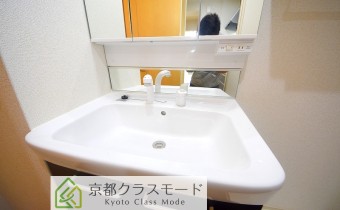 シャンプードレッサー
