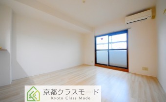 Room11.3