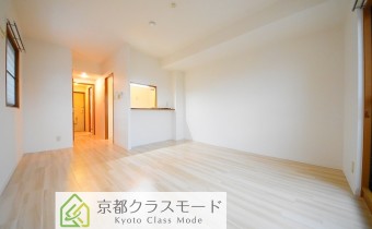 Room11.3