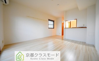 Room11.3