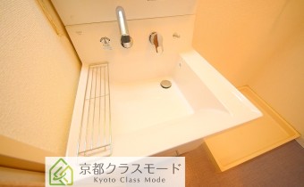 シャンプードレッサー