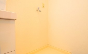 室内洗濯機置場