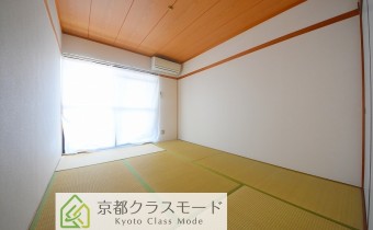 和6