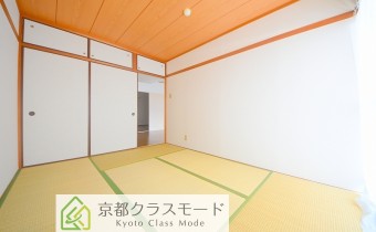 和6