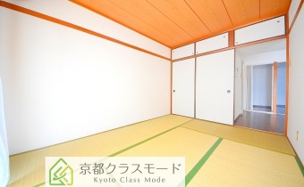 和6