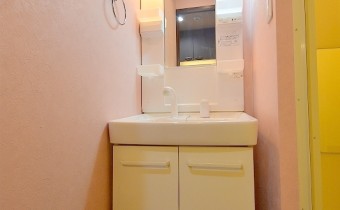 シャンプードレッサー